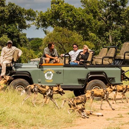 Kambaku Safari Lodge Timbavati viltreservat Exteriör bild