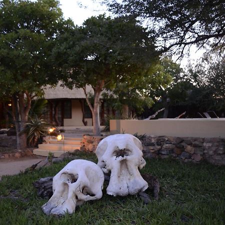 Kambaku Safari Lodge Timbavati viltreservat Exteriör bild