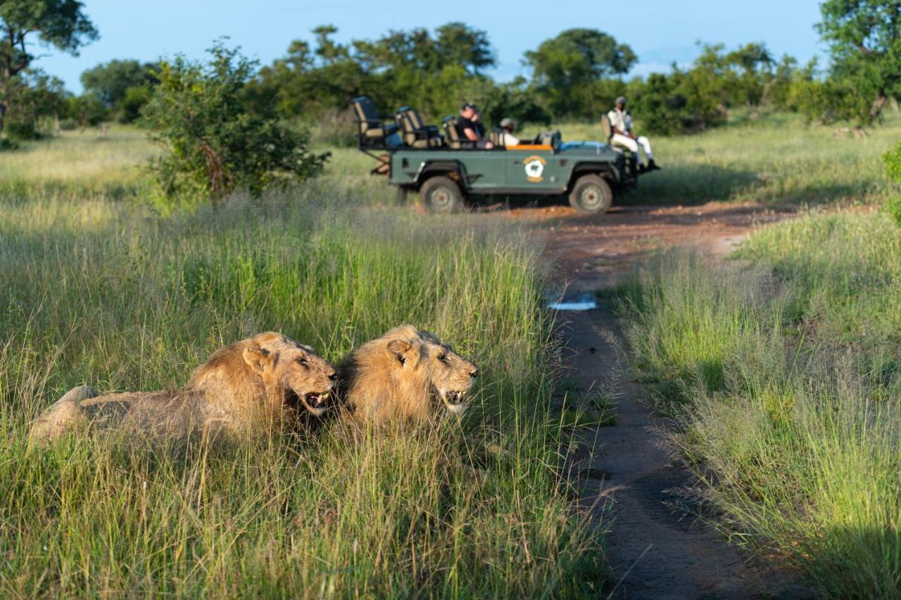Kambaku Safari Lodge Timbavati viltreservat Exteriör bild