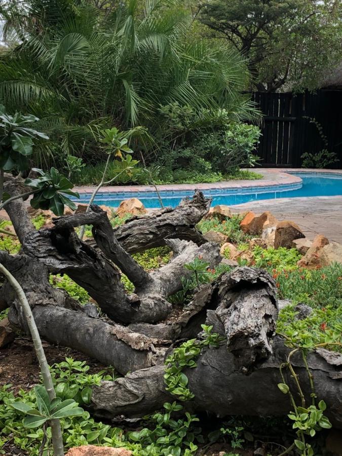 Kambaku Safari Lodge Timbavati viltreservat Exteriör bild