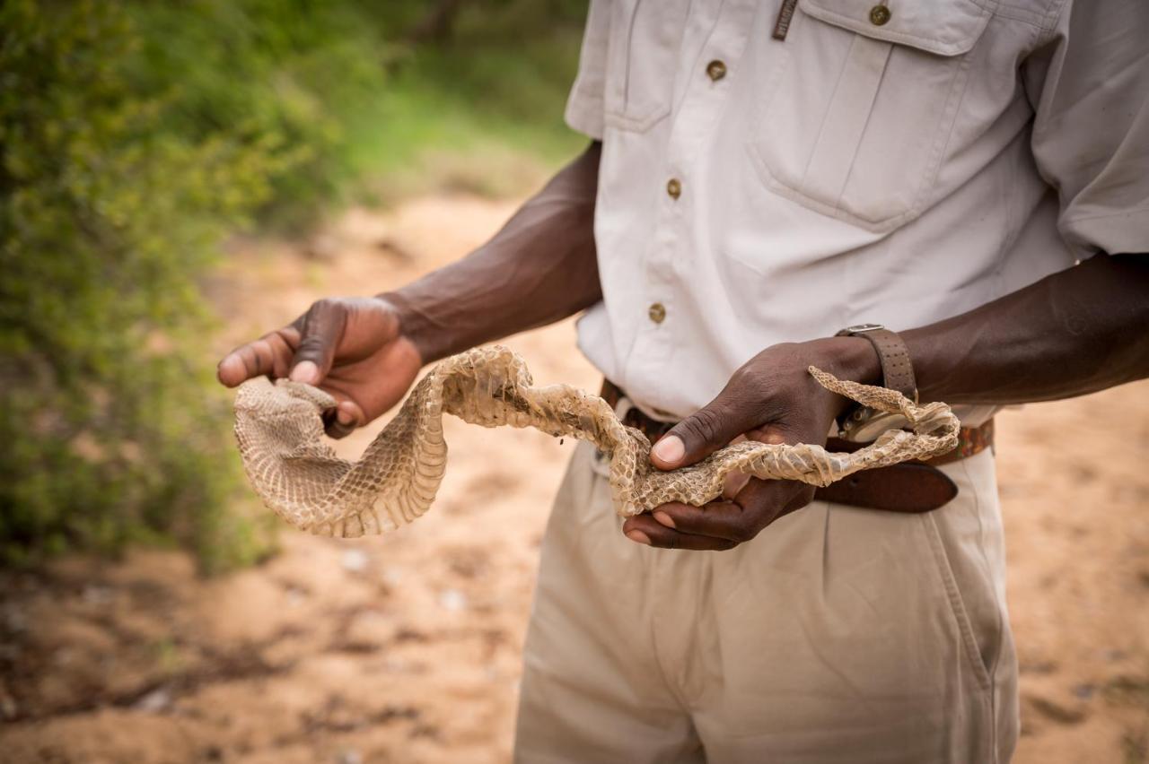 Kambaku Safari Lodge Timbavati viltreservat Exteriör bild