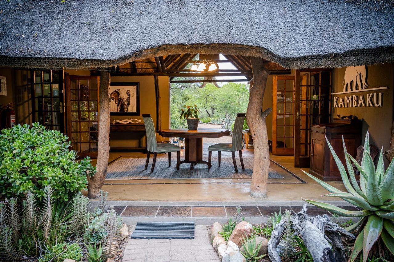 Kambaku Safari Lodge Timbavati viltreservat Exteriör bild