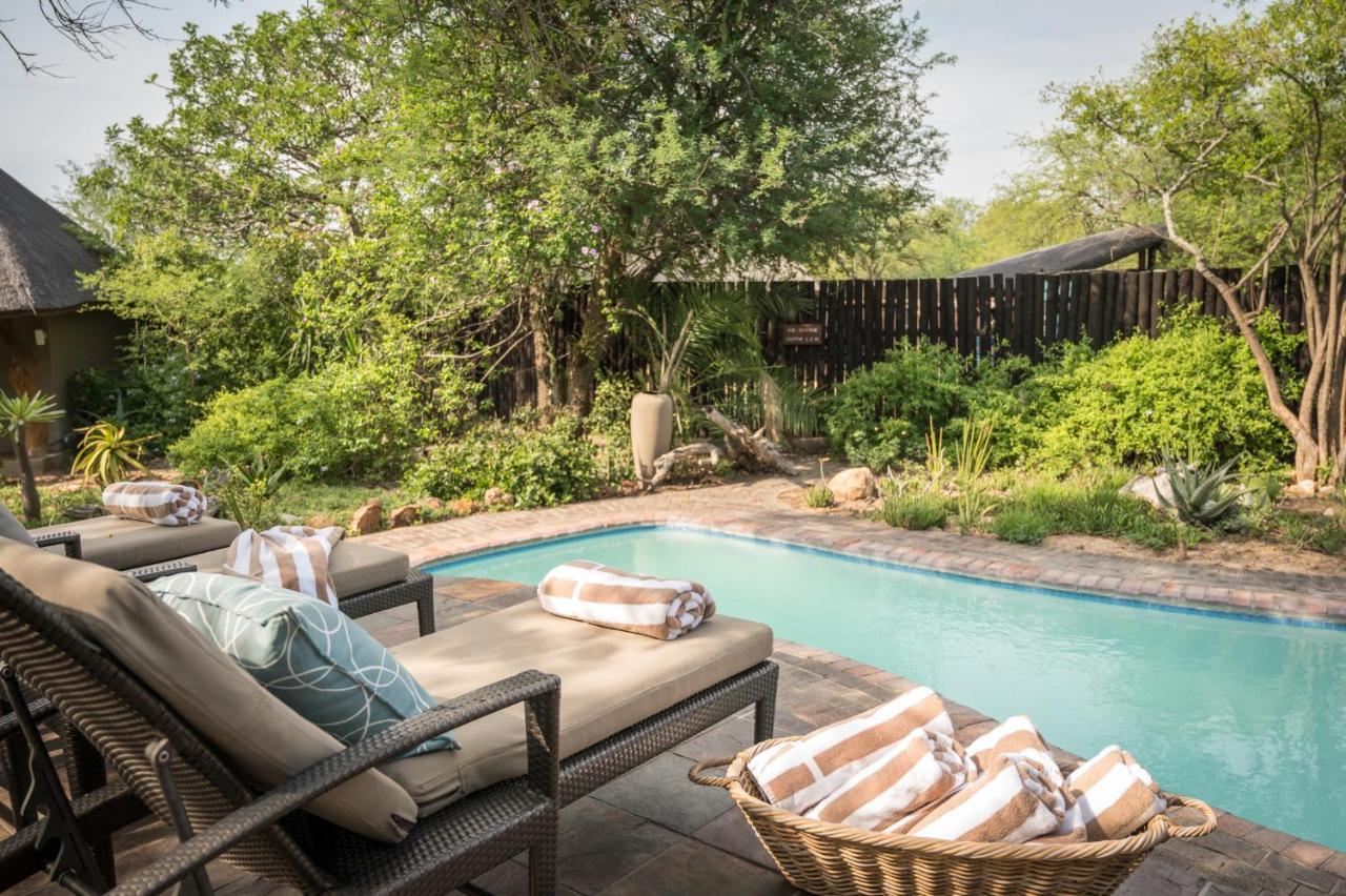 Kambaku Safari Lodge Timbavati viltreservat Exteriör bild