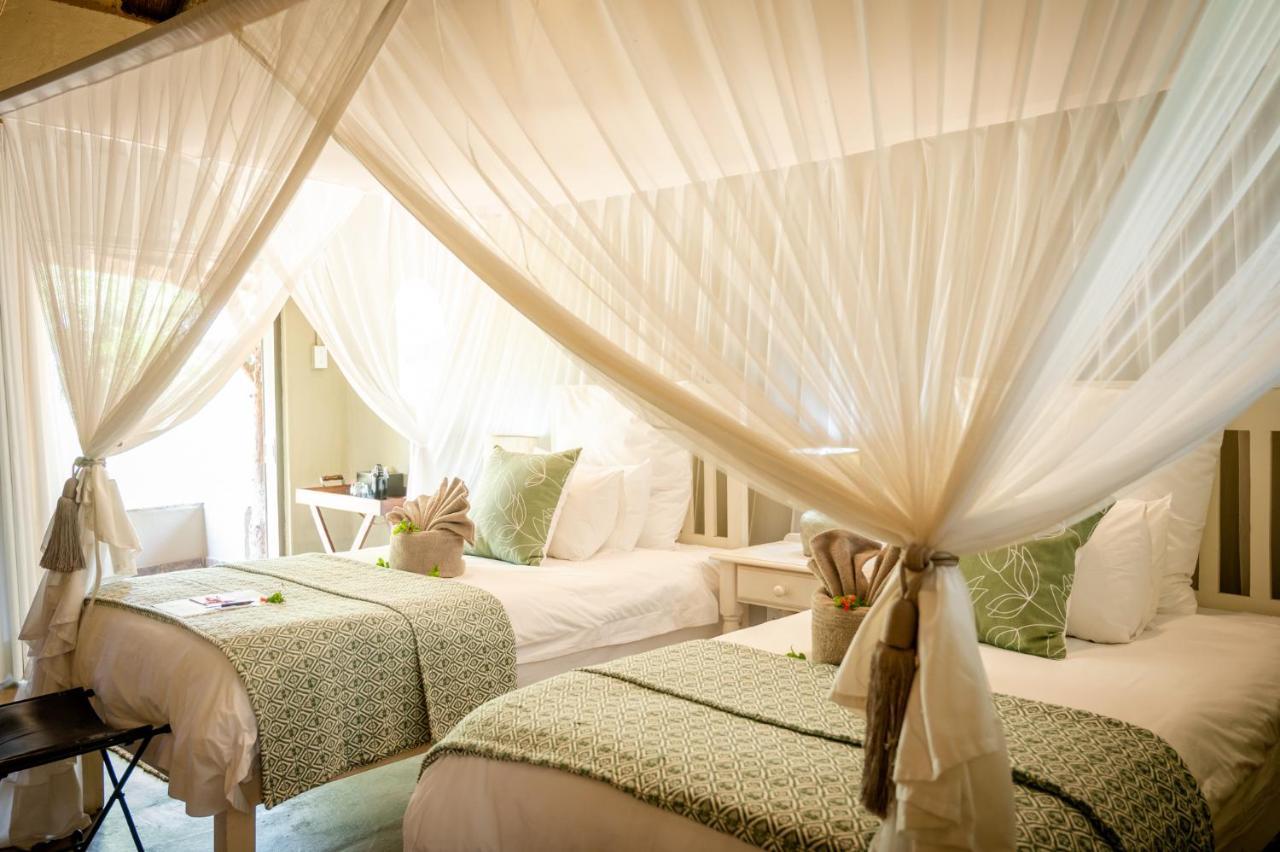 Kambaku Safari Lodge Timbavati viltreservat Exteriör bild