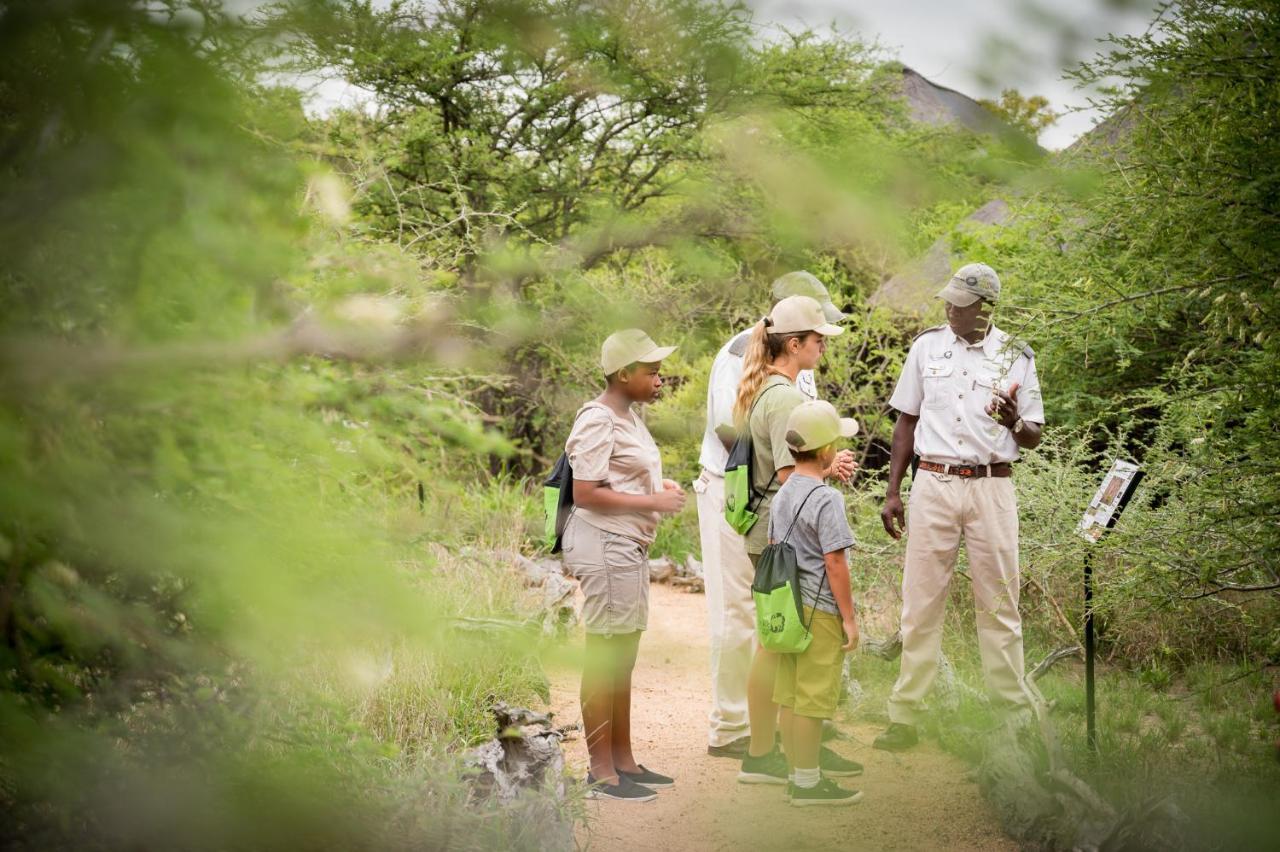 Kambaku Safari Lodge Timbavati viltreservat Exteriör bild