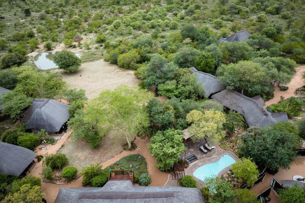 Kambaku Safari Lodge Timbavati viltreservat Exteriör bild