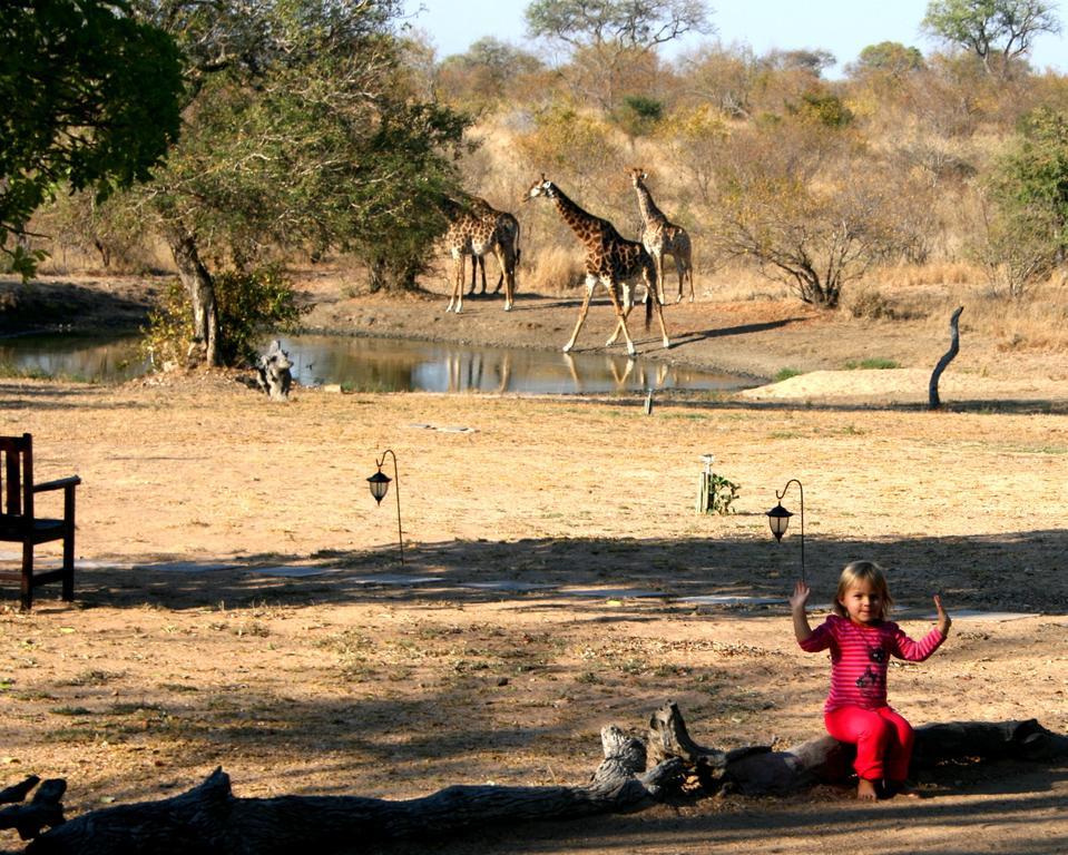 Kambaku Safari Lodge Timbavati viltreservat Exteriör bild