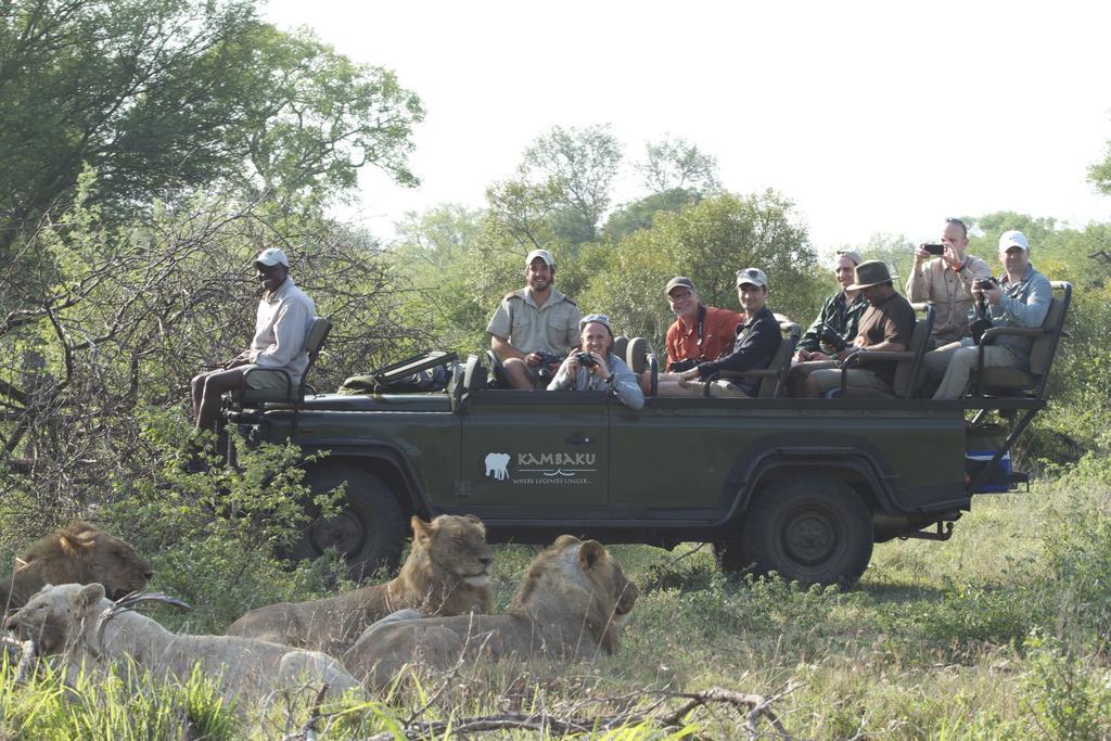 Kambaku Safari Lodge Timbavati viltreservat Exteriör bild